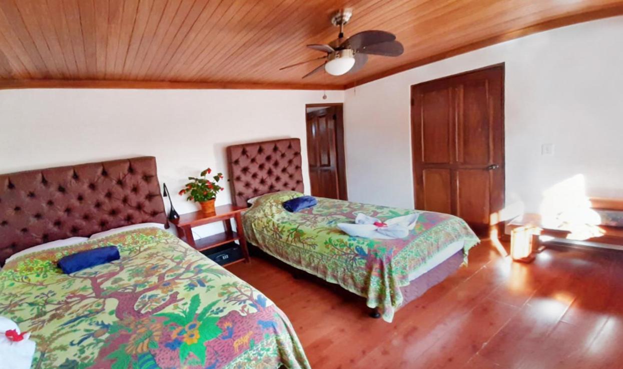 Luna Inn